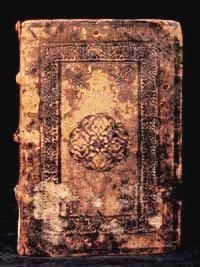 Cinq. 2 1994/1 piatto anteriore