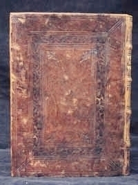 Cinq. 4 519 piatto posteriore