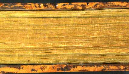 segnatura Cinq. 1 462, dettaglio