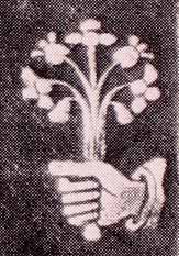 PENNEY 1967, tav. XXII, dettaglio