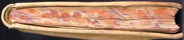 segnatura Cinq. 6 185, dettaglio