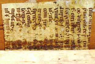 segnatura Cinq. 6 552, dettaglio
