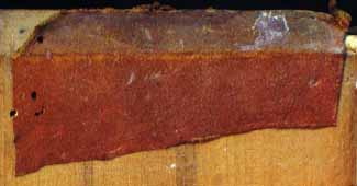 segnatura Cinq. 6 552, dettaglio