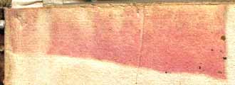 segnatura Cinq. 6 552, dettaglio
