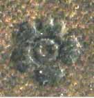 segnatura Cinq. 6 873, dettaglio