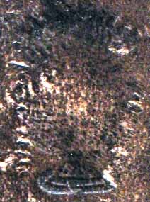 segnatura Cinq. 6 873, dettaglio