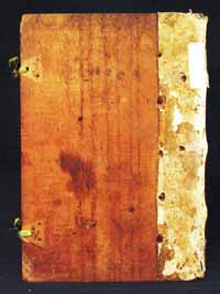 Inc. 3 310 piatto posteriore