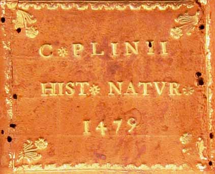 segnatura Inc. 4 267, dettaglio