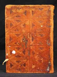 AB 393 piatto posteriore