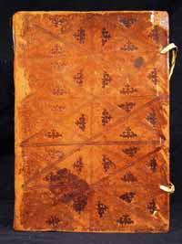 AB 393 piatto anteriore